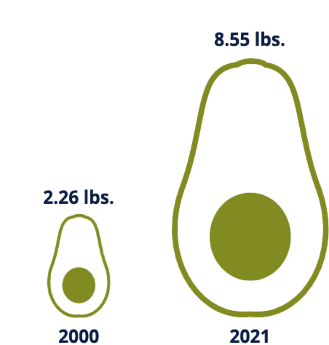 increase in avocados per capita
