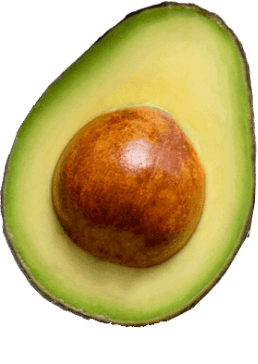 avocado