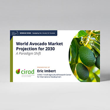 Avocado World Market Projection Up To 2030, Version 2.0 - Hass Avocado ...